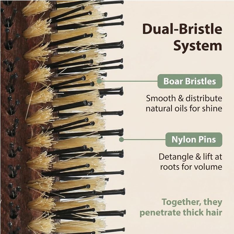 Boar Bristle Round Brush 2.5 Inch, Espresso — Cork Handle, Nylon + Boar Bristles for Blowout Volume, Shoulder to Mid-Back Hair