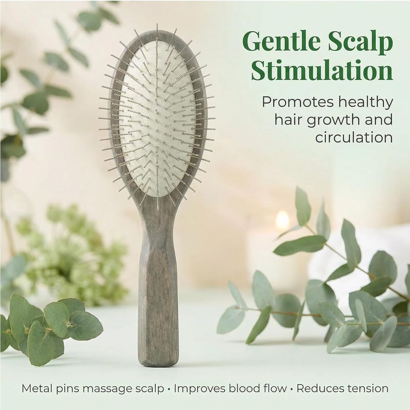 Oval Paddle Brush, Silver-Tone Metal Pins — No Ball Tips, Carbonized Willow Wood, Deep Detangling for Thick & Curly Hair, Wet & Dry