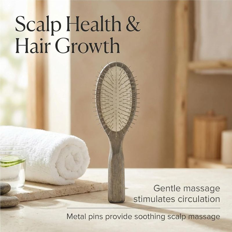 Oval Paddle Brush, Silver-Tone Metal Pins — No Ball Tips, Carbonized Willow Wood, Deep Detangling for Thick & Curly Hair, Wet & Dry